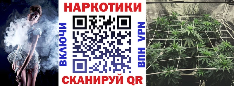 Где найти наркотики Новая Ладога А ПВП  Амфетамин  Гашиш  Канабис  КОКАИН 