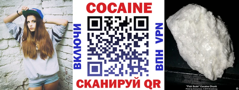 Кокаин Эквадор  купить наркоту  Новая Ладога 